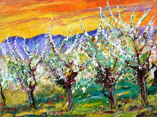 Cherrytrees in spring-86 Pol Ledent