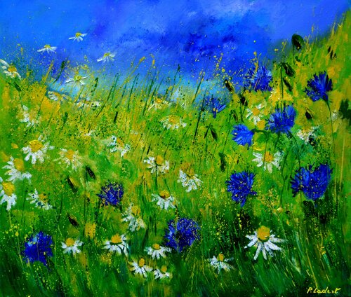Cornflowers and daisies Pol Ledent