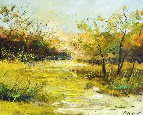 Marshes Pol Ledent