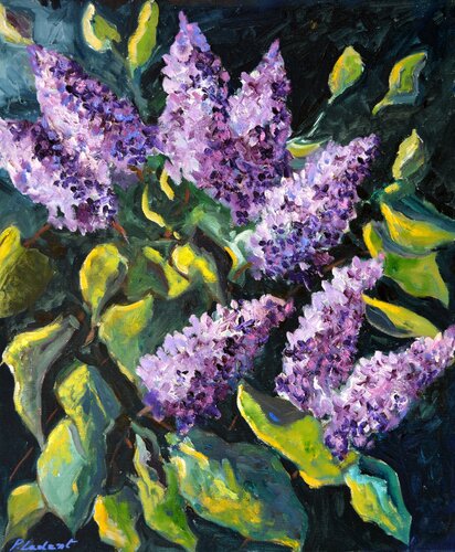 Lilac von Pol Ledent, Malerei kaufen auf Singulart