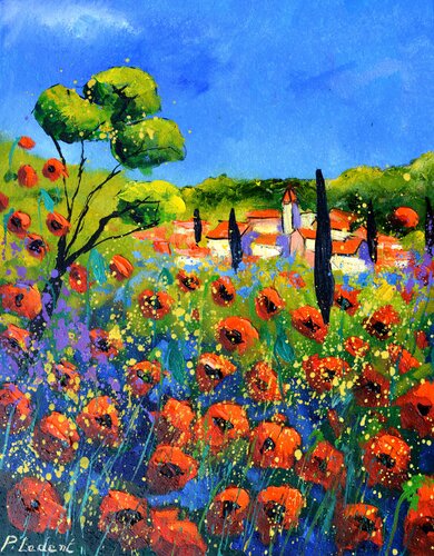 Poppies  in Provence van Pol Ledent, Schilderij te koop op Singulart