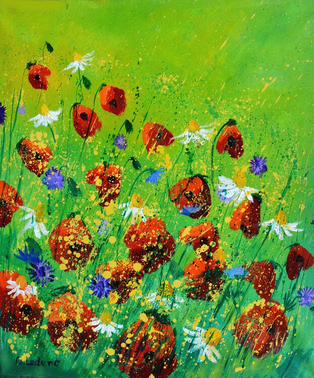 Red poppies - 672020 Pol Ledent