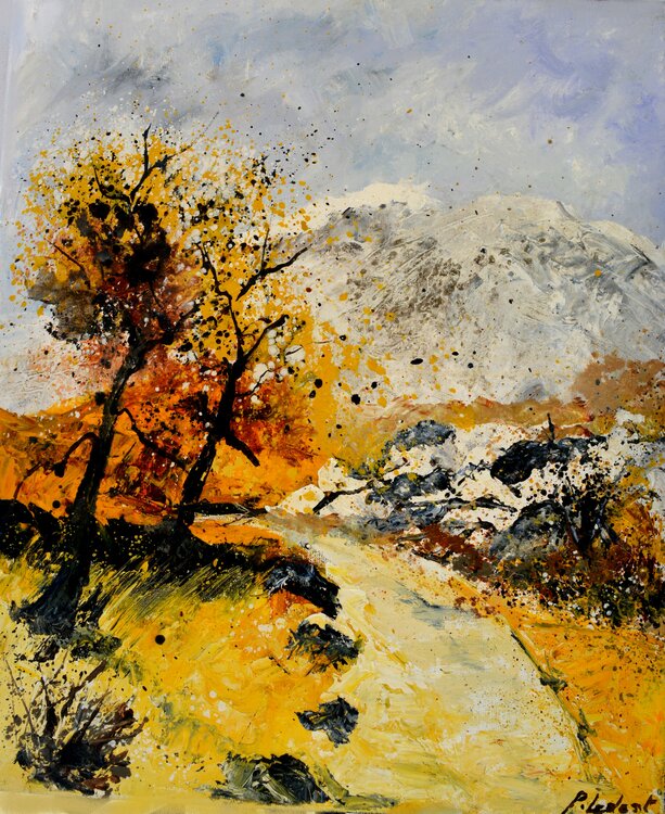 Dry path in summer Provence 5622 Pol Ledent