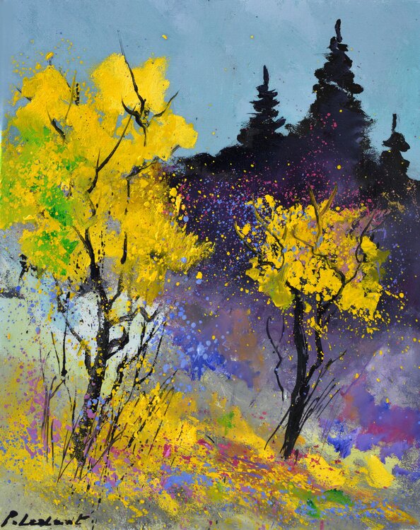 A magic day in the forest Pol Ledent