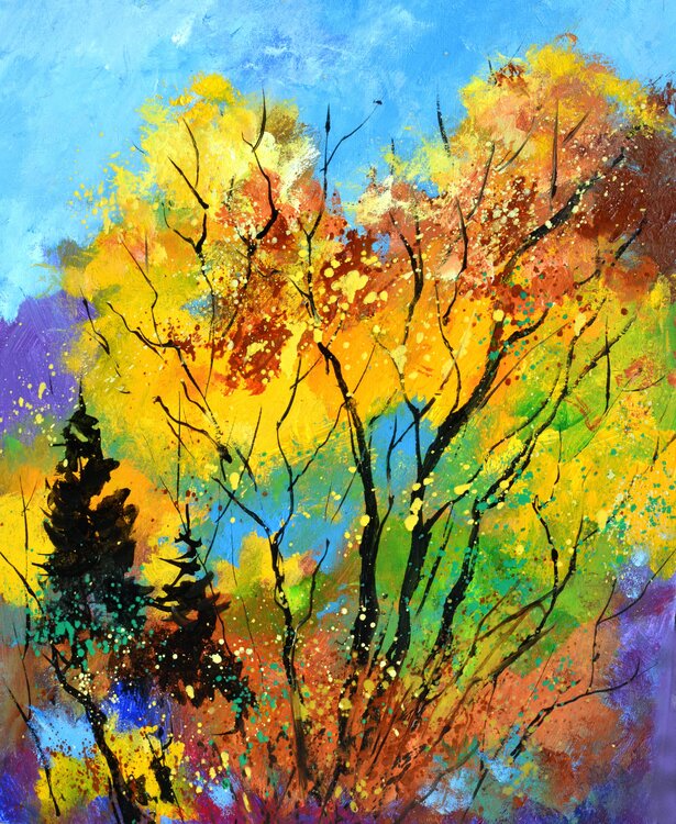 Enchanted wood Pol Ledent