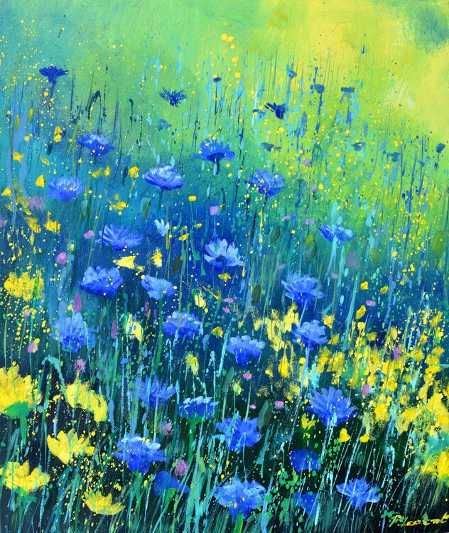 Field flowers 5624 Pol Ledent