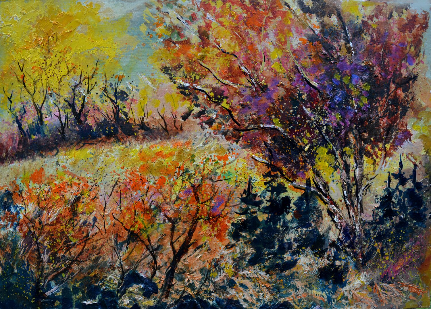 Magic autumn colours -  752021 Pol Ledent