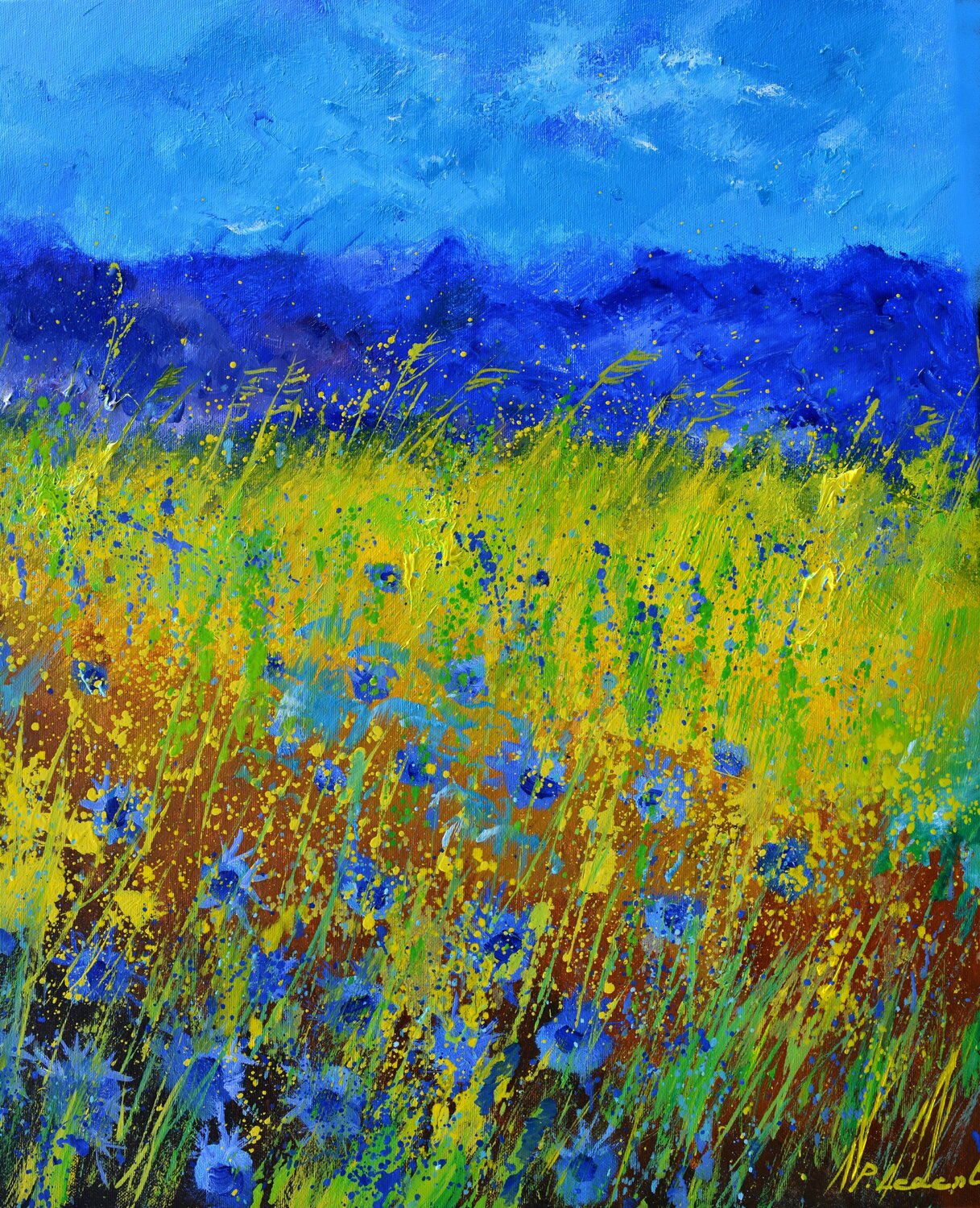 Cornflowers Pol Ledent