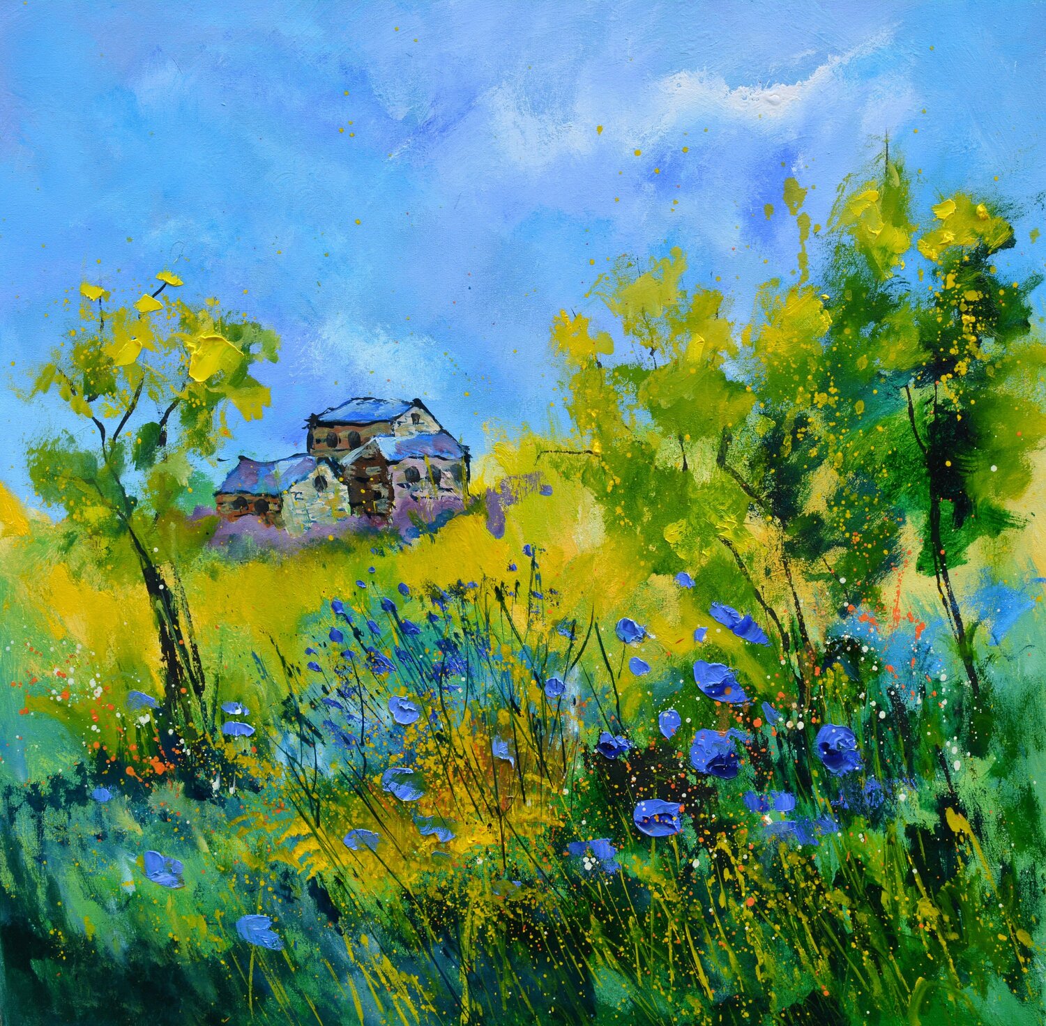 Bleuets Pol Ledent