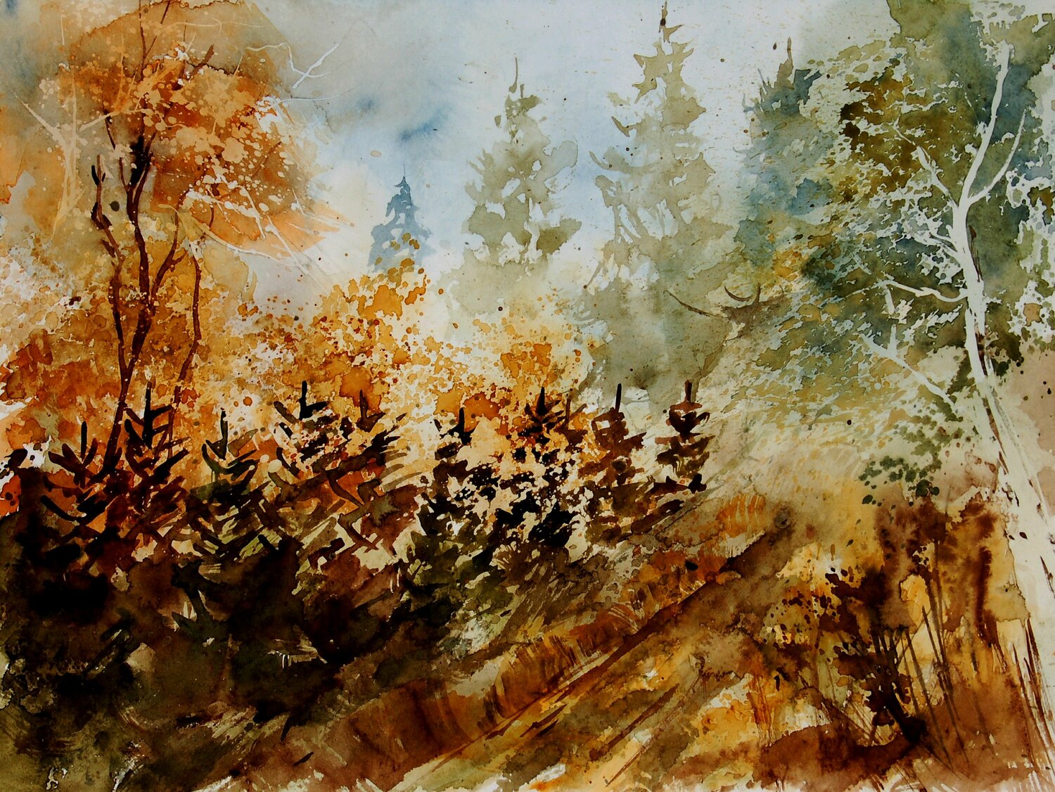 Sous=bois - watercolor 250607 Pol Ledent