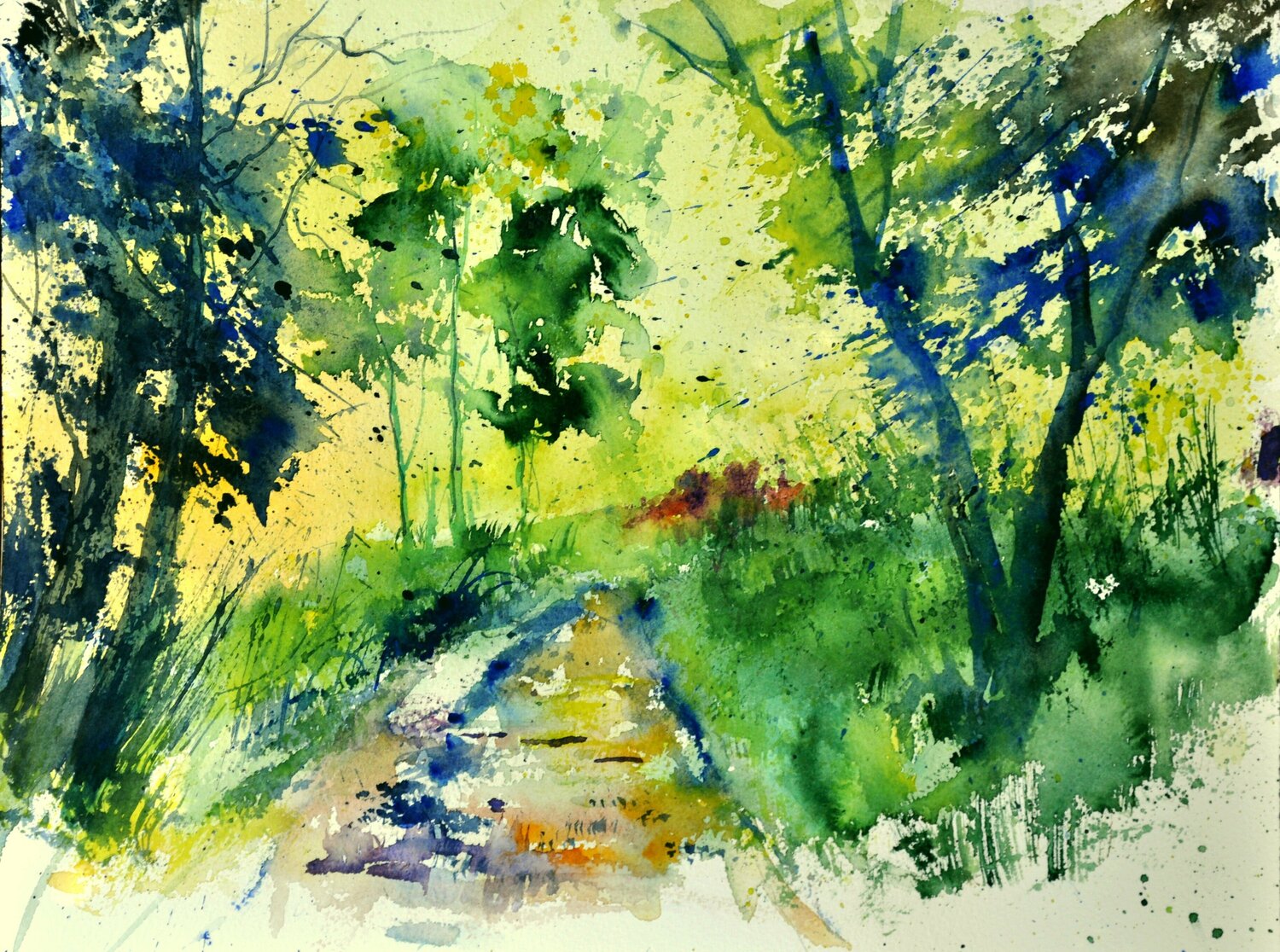 A forest path -watercolor Pol Ledent