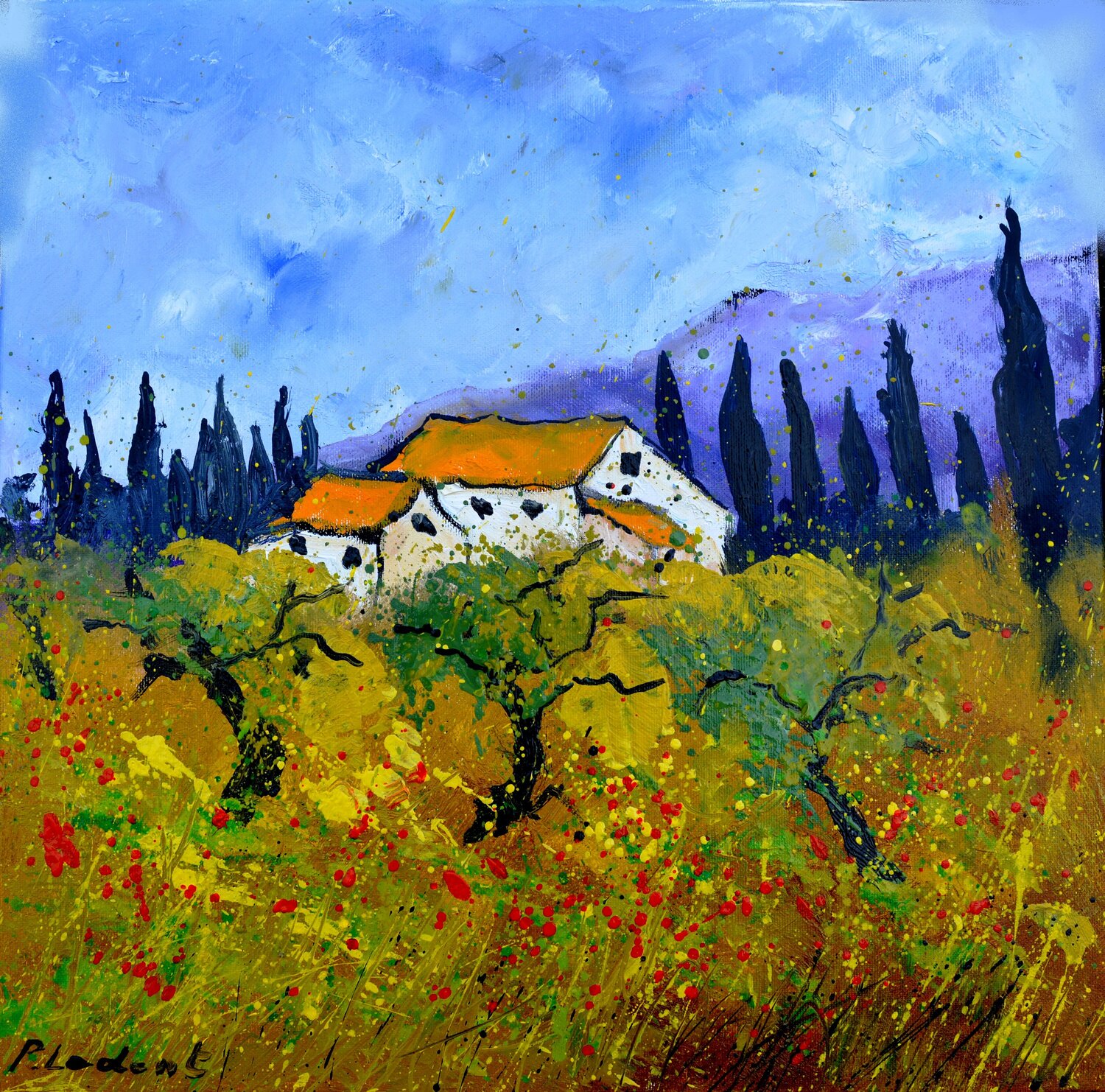 Quelques coquelicots en Provence Pol Ledent