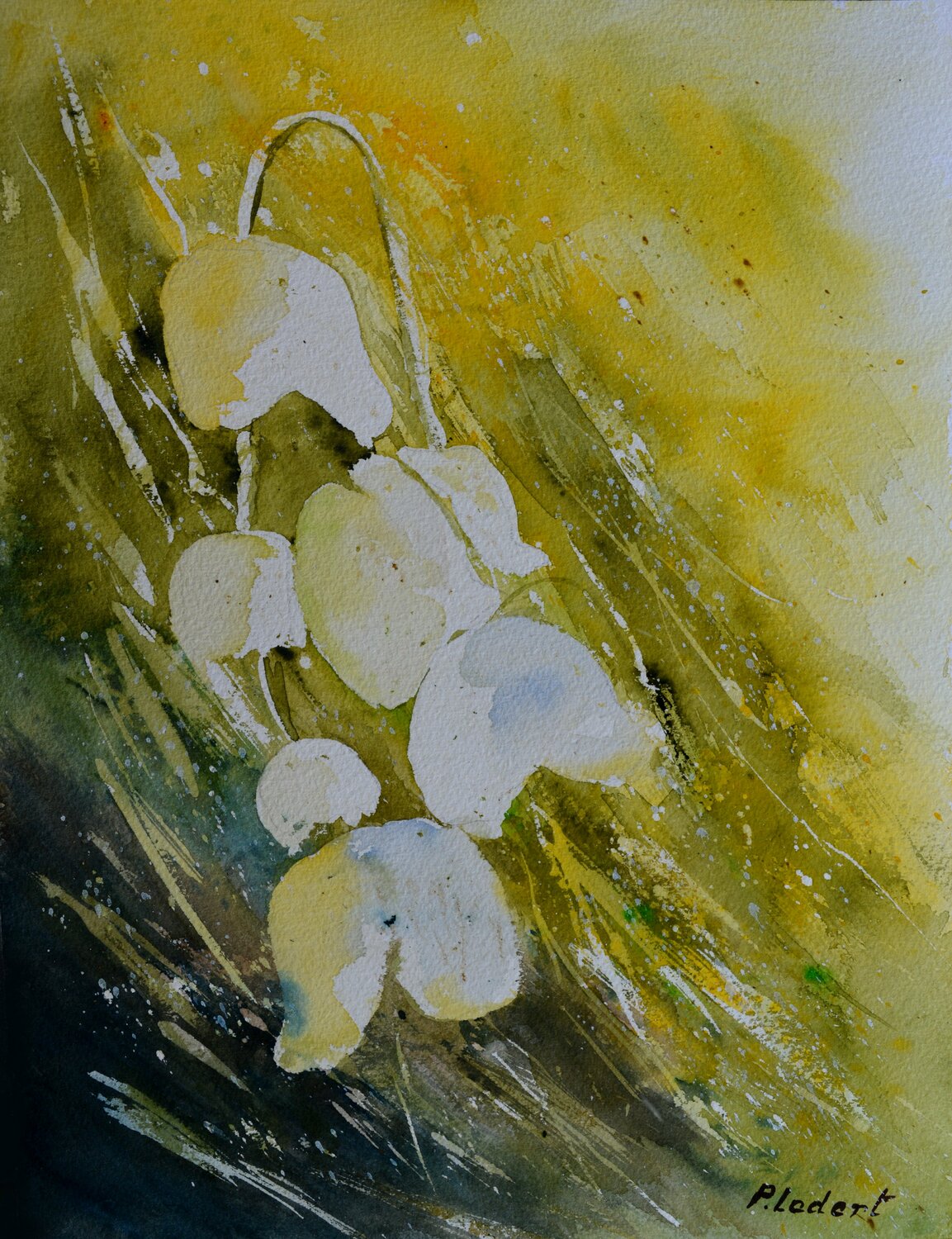 Lily of the valley- watercolor Pol Ledent Werk auf Papier zu verkaufen