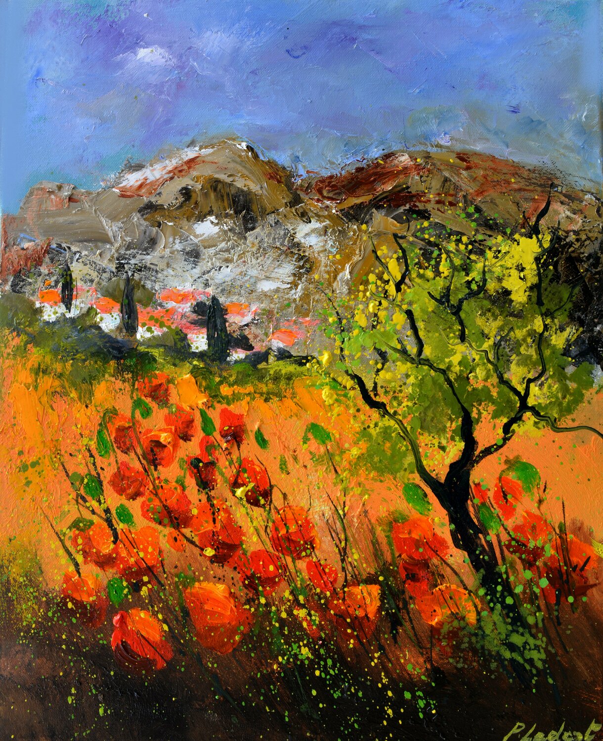 Red poppies in Provence  4522 Pol Ledent