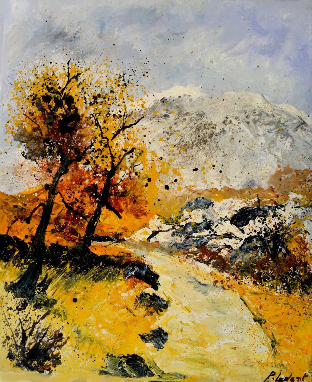 Dry path in summer Provence 5622 Pol Ledent