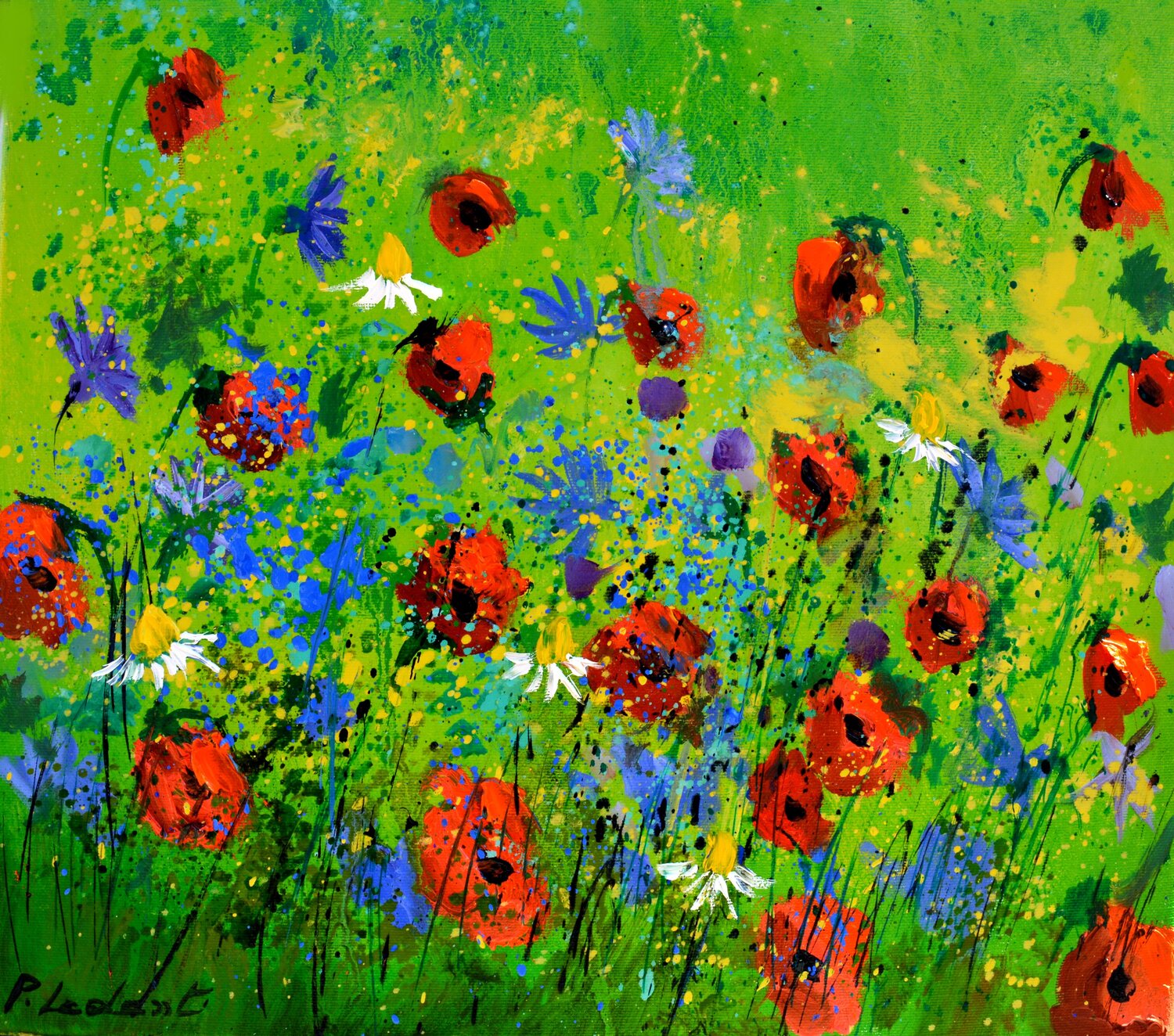 Blue cornflowers and red poppies  - 4422 Pol Ledent