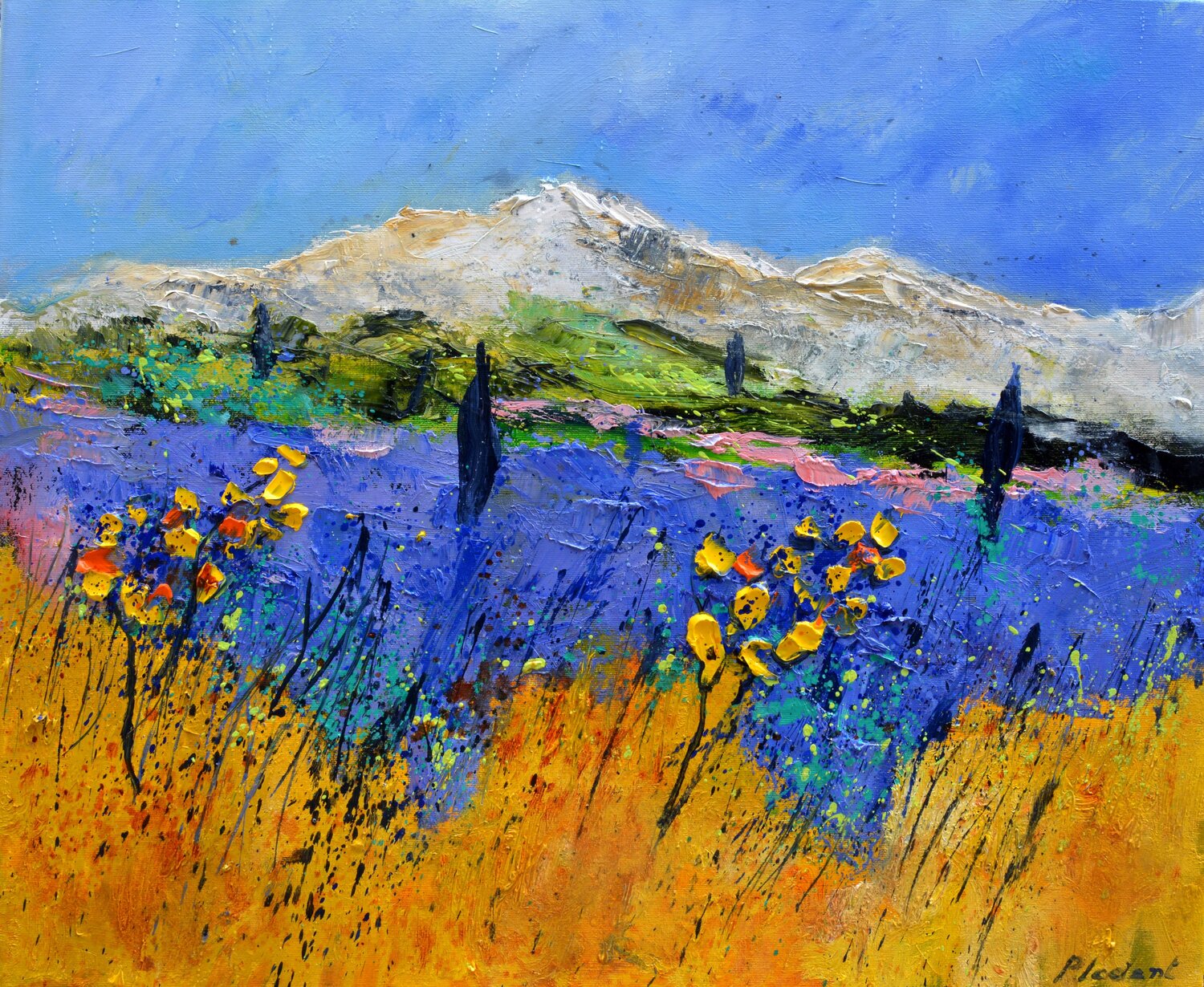 Lavender field Pol Ledent