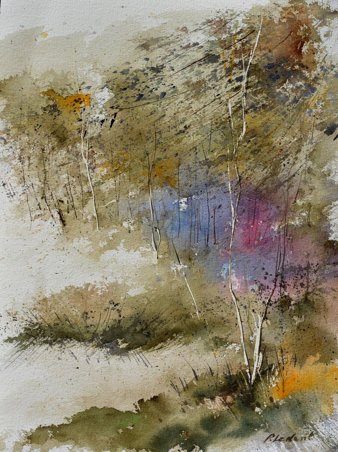 In the wood  - watercolor Pol Ledent