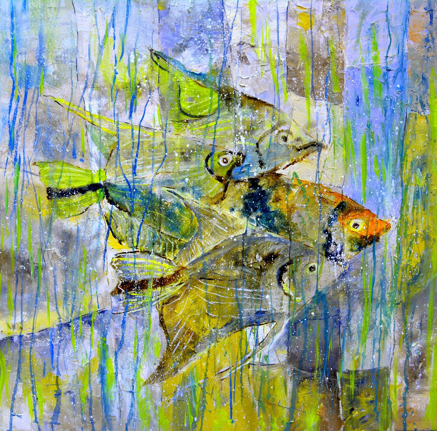 Angel fish Pol Ledent