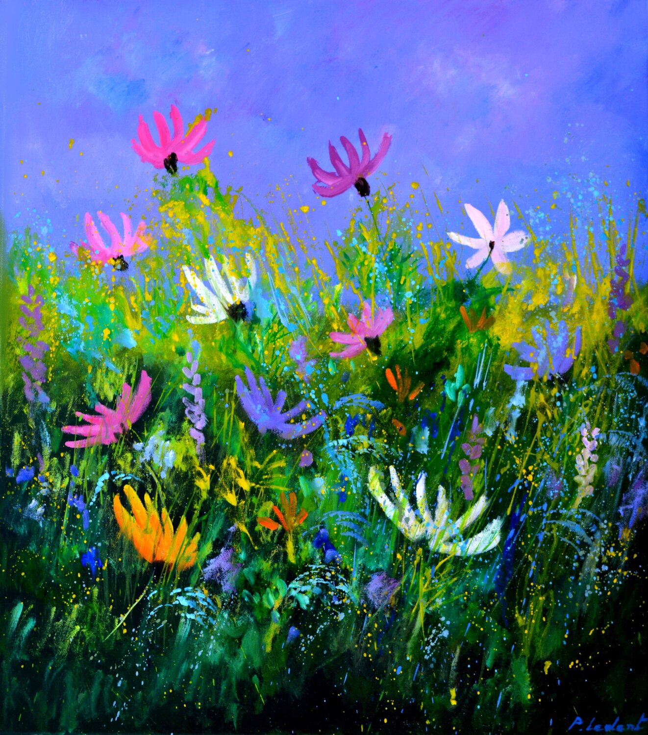 Just a few cosmos flowers  - 7823 Pol Ledent