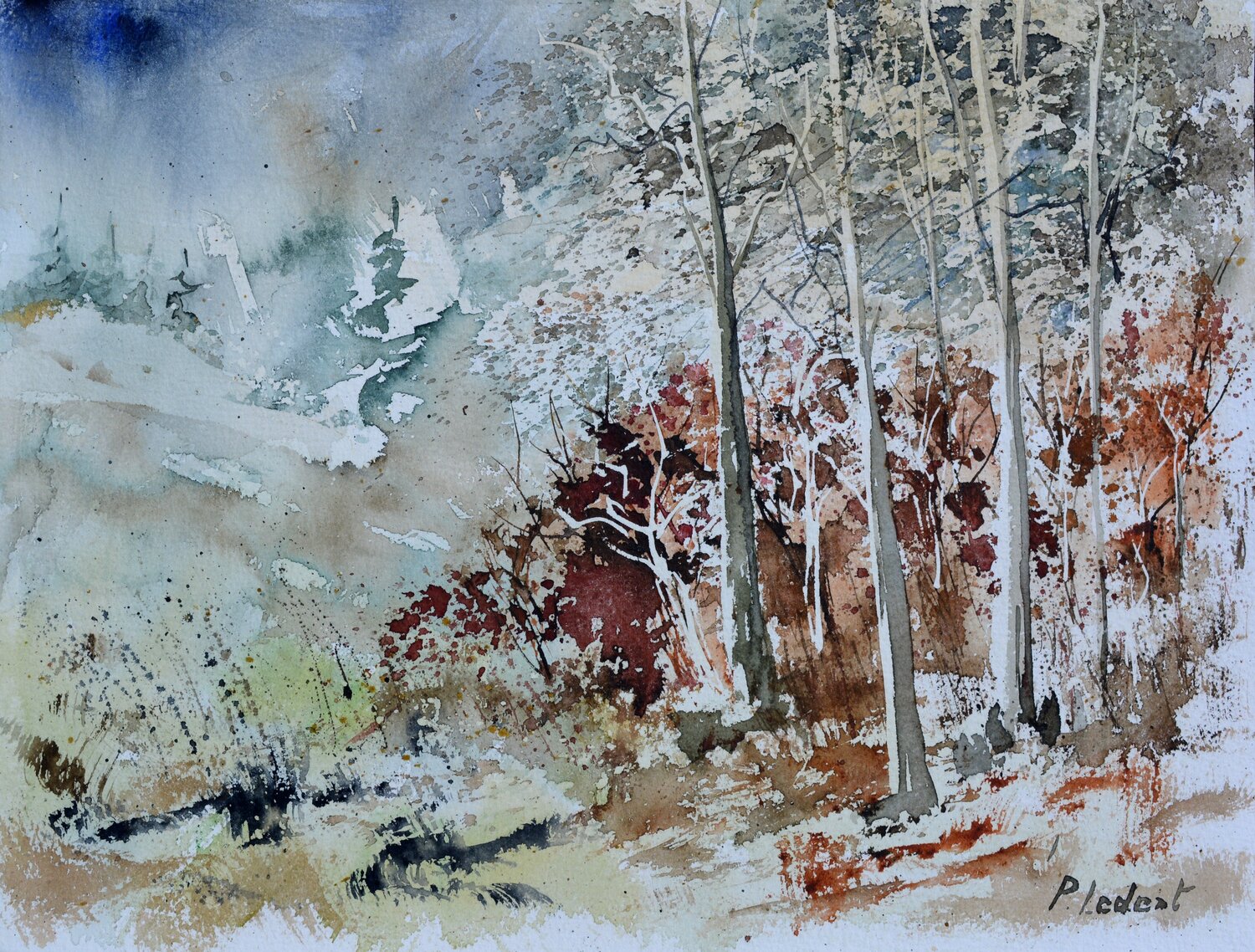 In the wood    - watercolor Pol Ledent