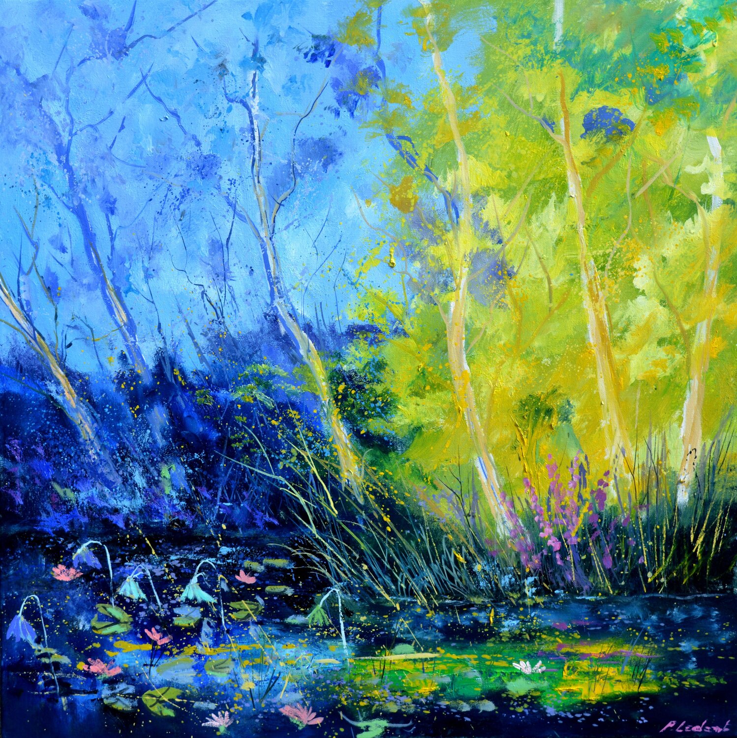 Sunlight 77 Pol Ledent