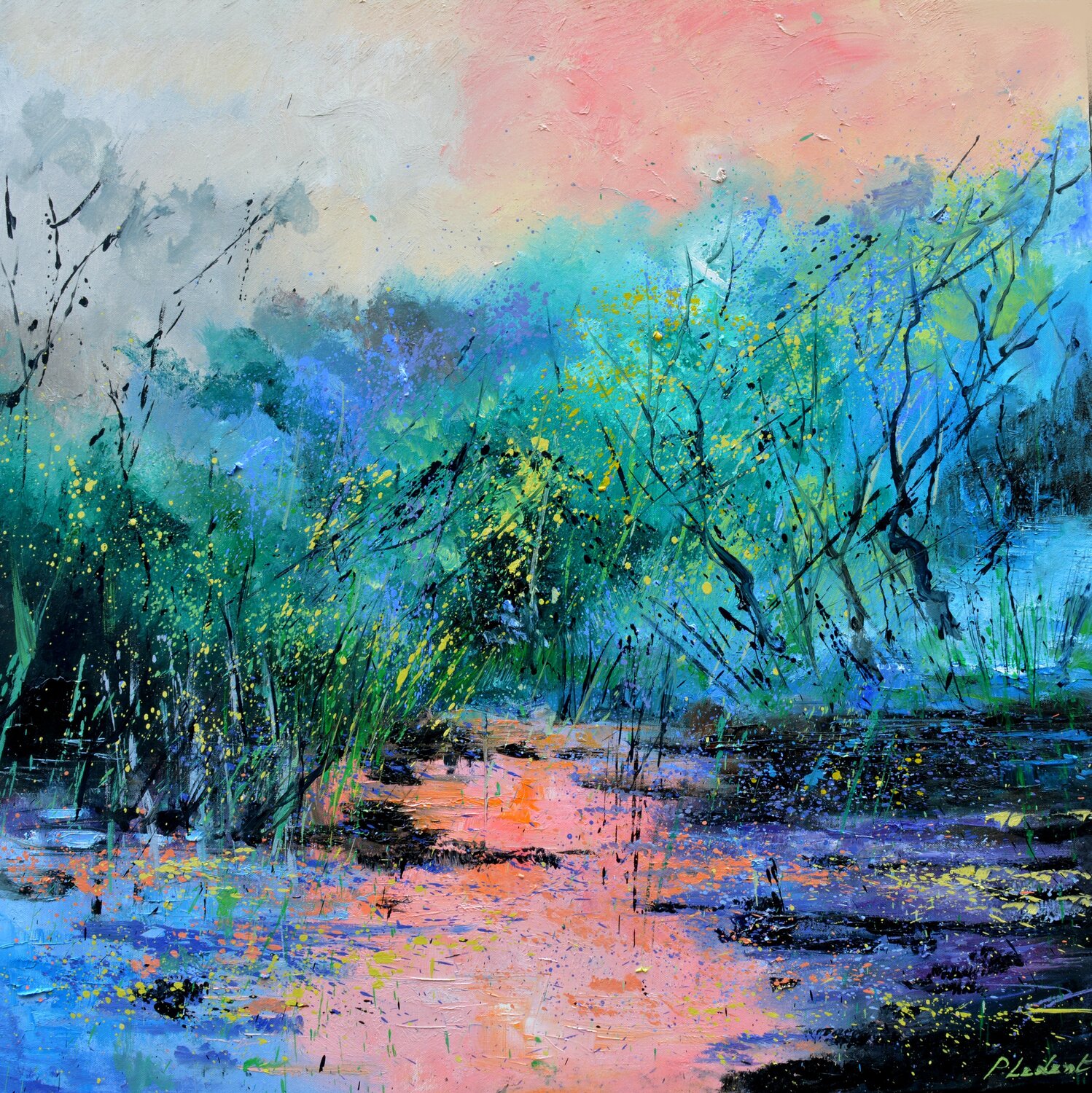 Magic sunset on quiet waters   - 88 Pol Ledent