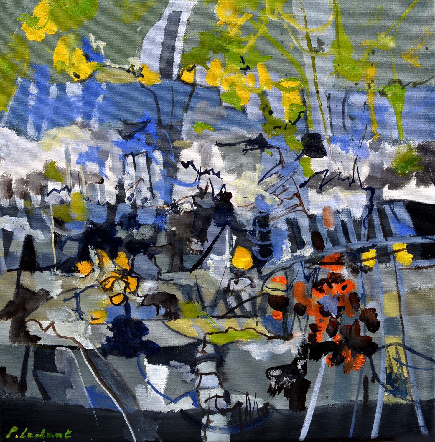 Plane view Pol Ledent