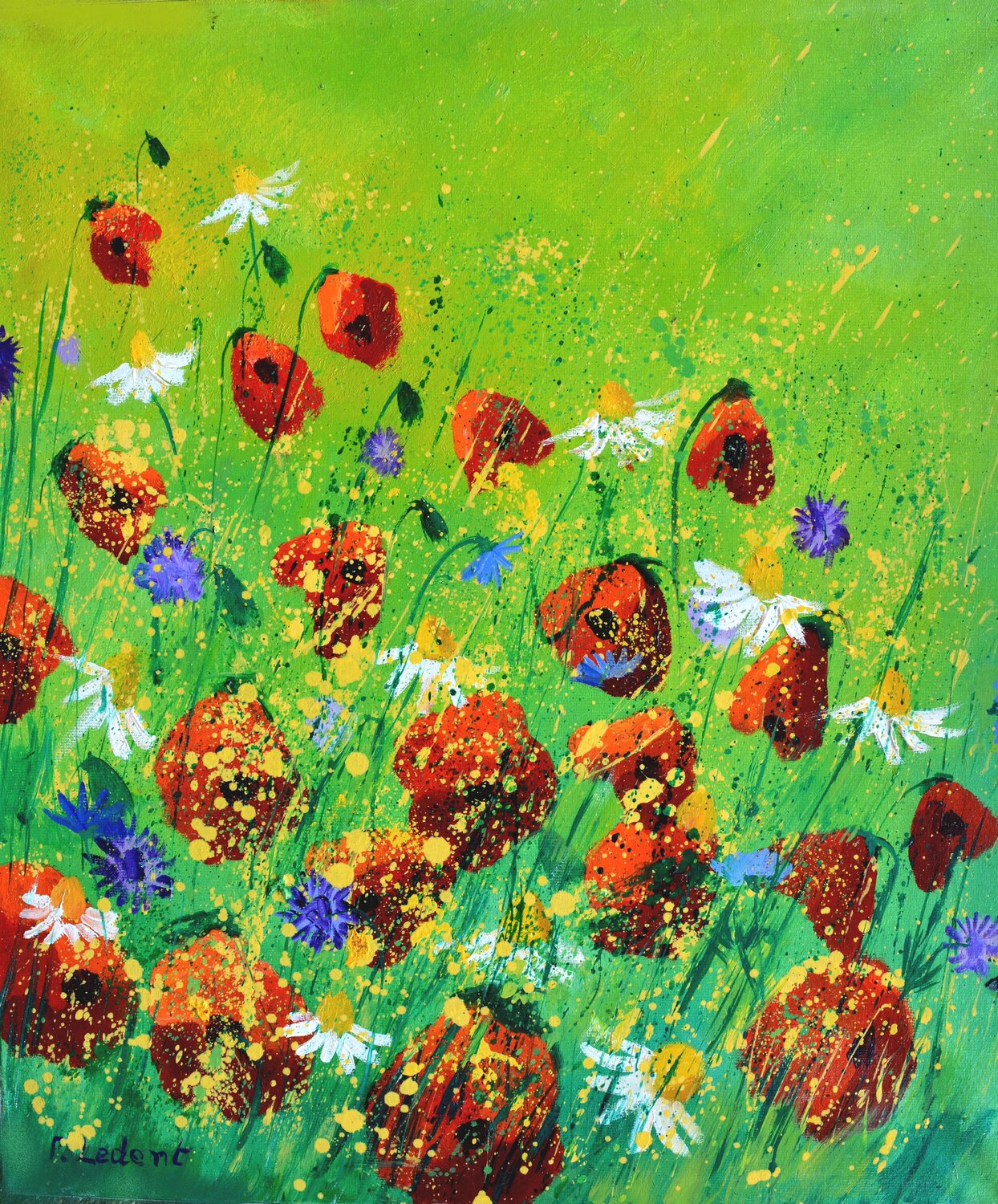 Red poppies - 6723 Pol Ledent