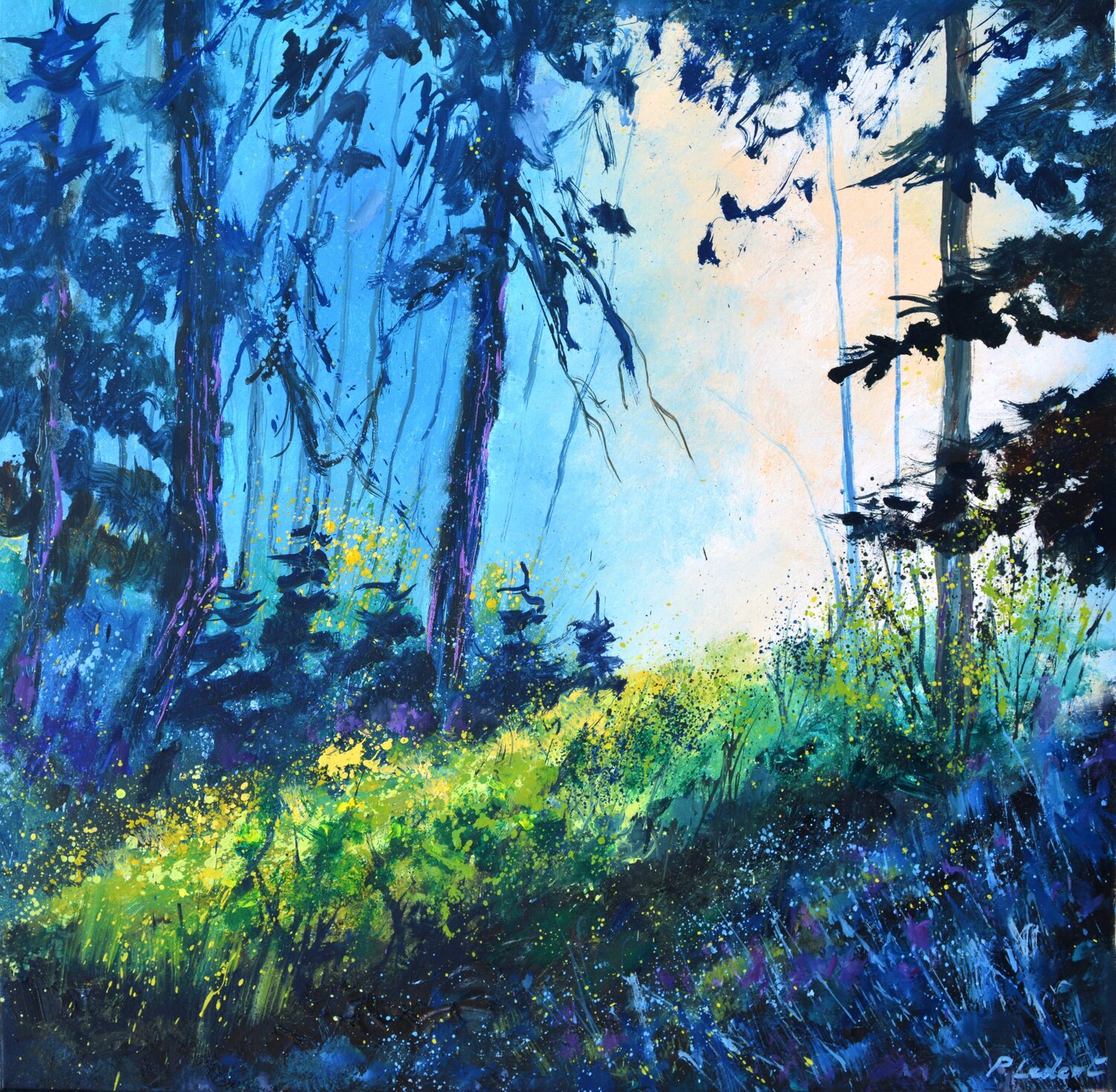 Light in the wood Pol Ledent