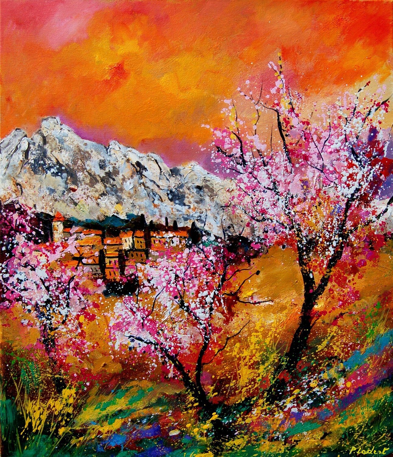 Bloomoing cherrytrees in Provence  -67 Pol Ledent