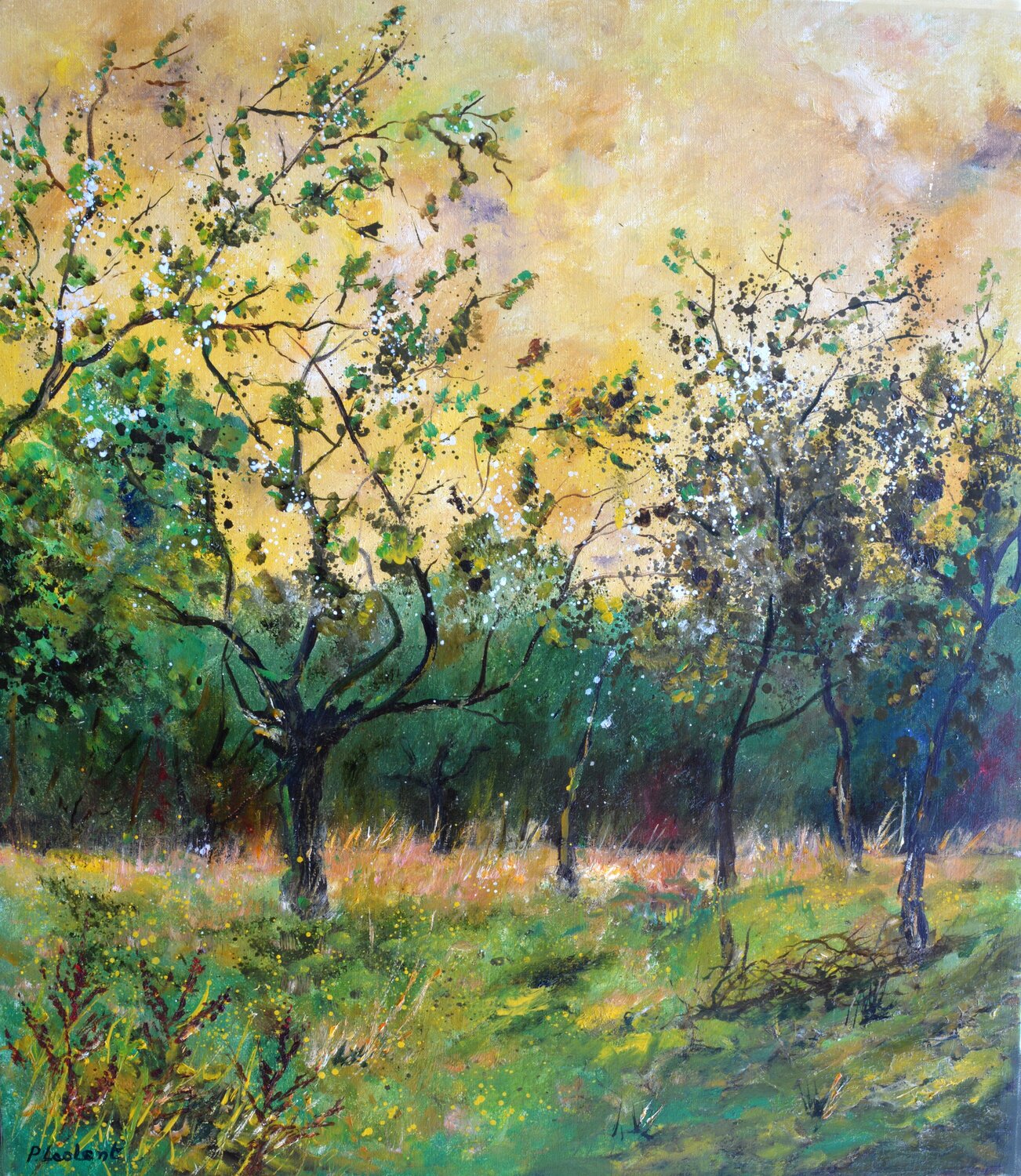 Orcher in spring  78 Pol Ledent