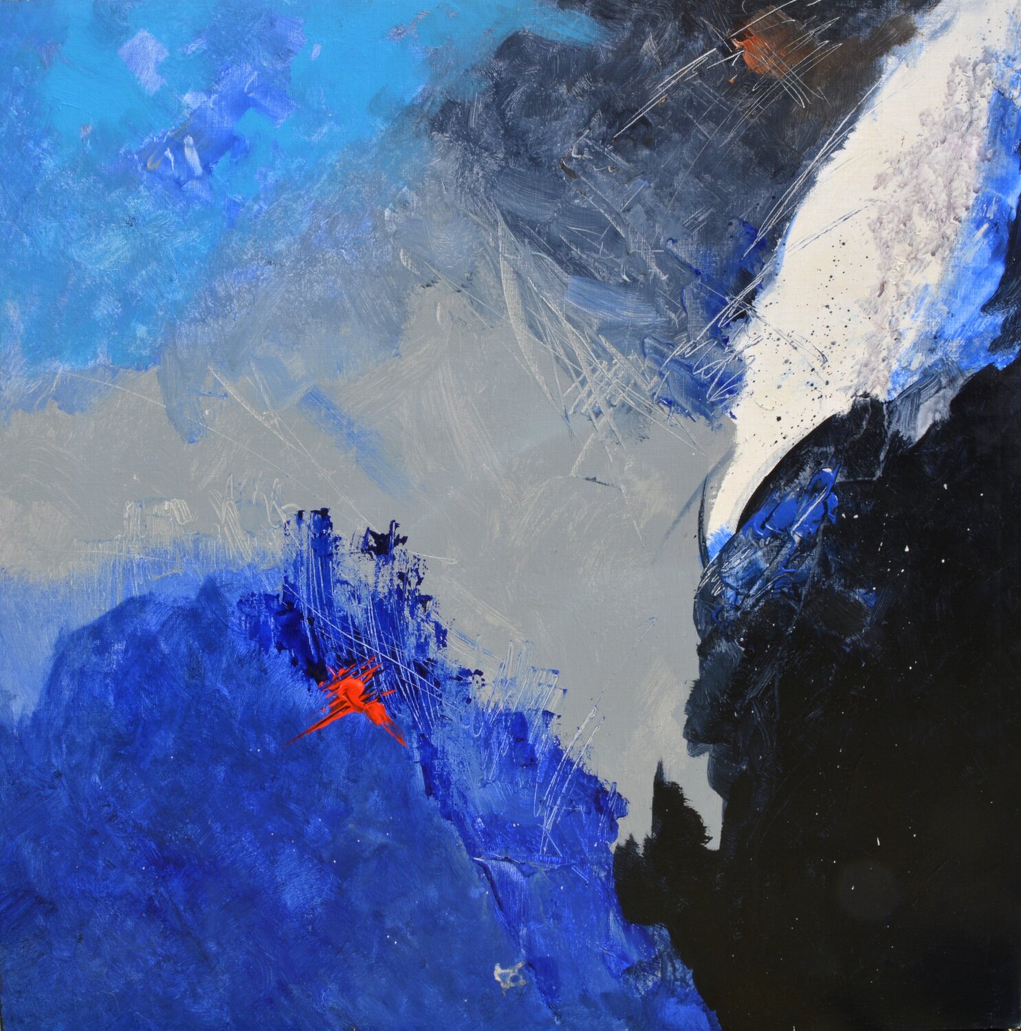 Blue night Pol Ledent