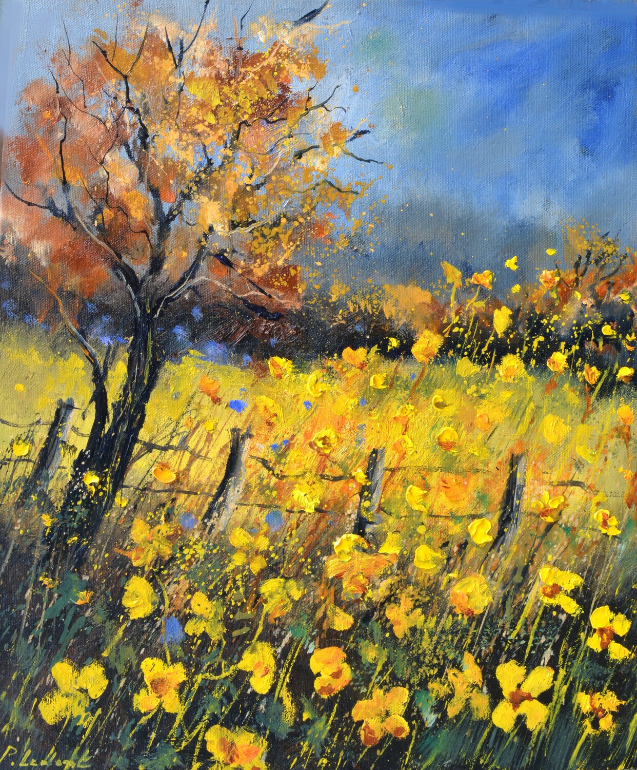 Buttercups Pol Ledent