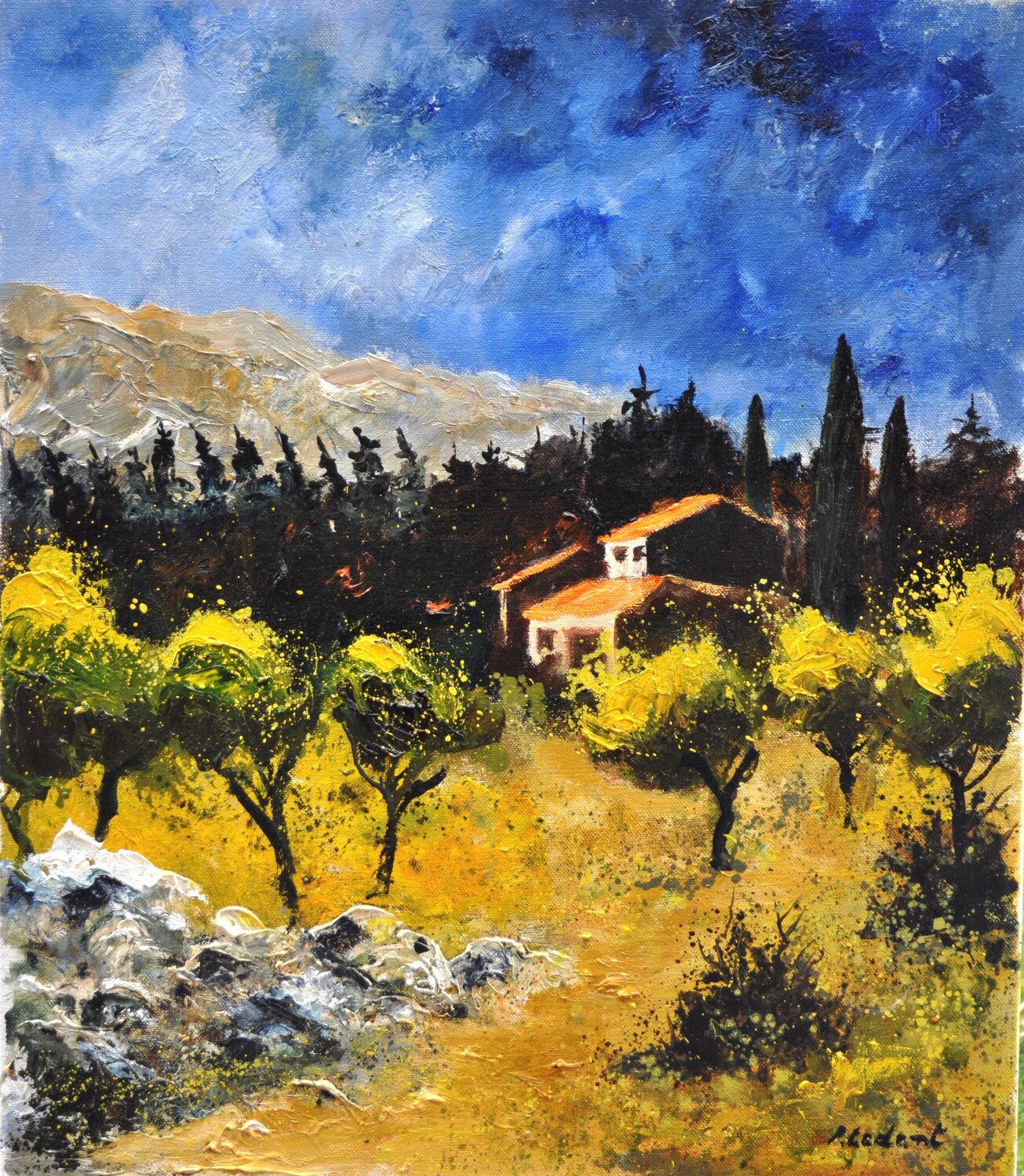 Sunny Provence Pol Ledent