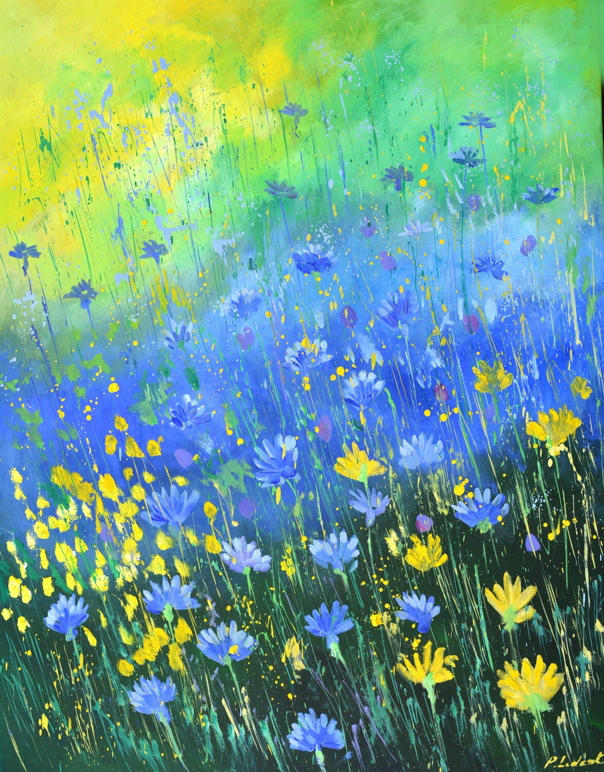 Cornflowers 79 Pol Ledent