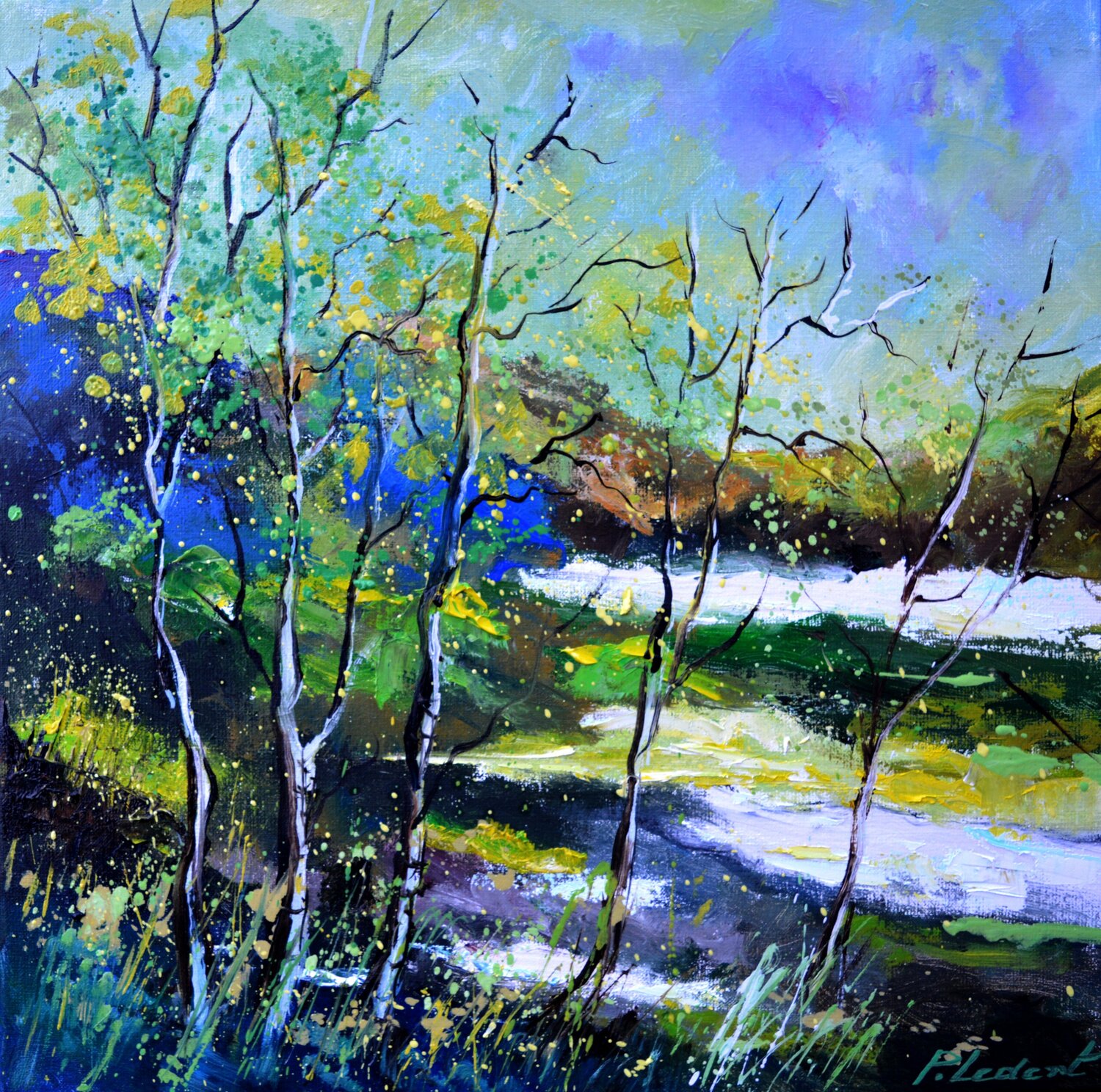 Quelques flaques d'eau au printemps Pol Ledent