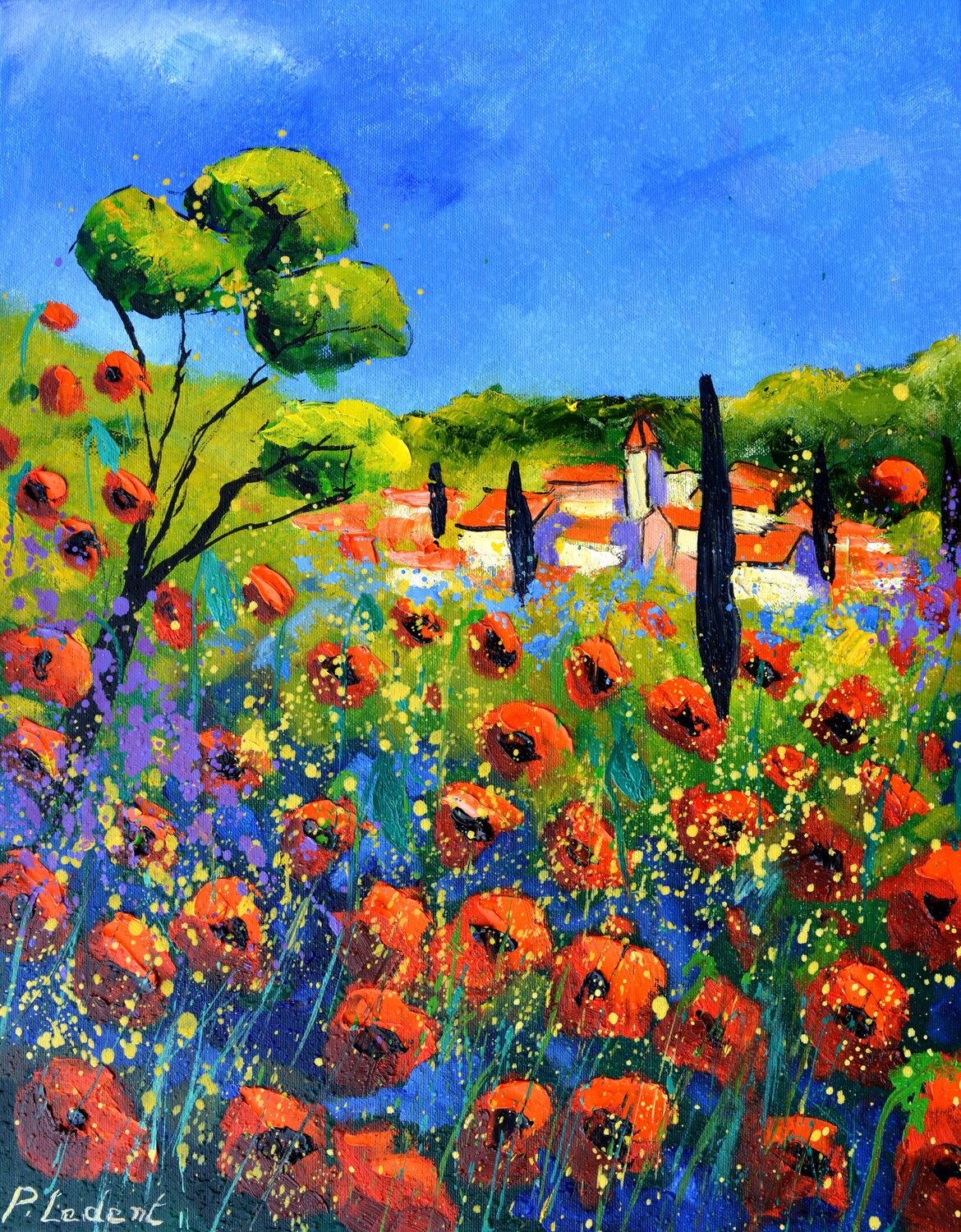 Poppies  in Provence Pol Ledent