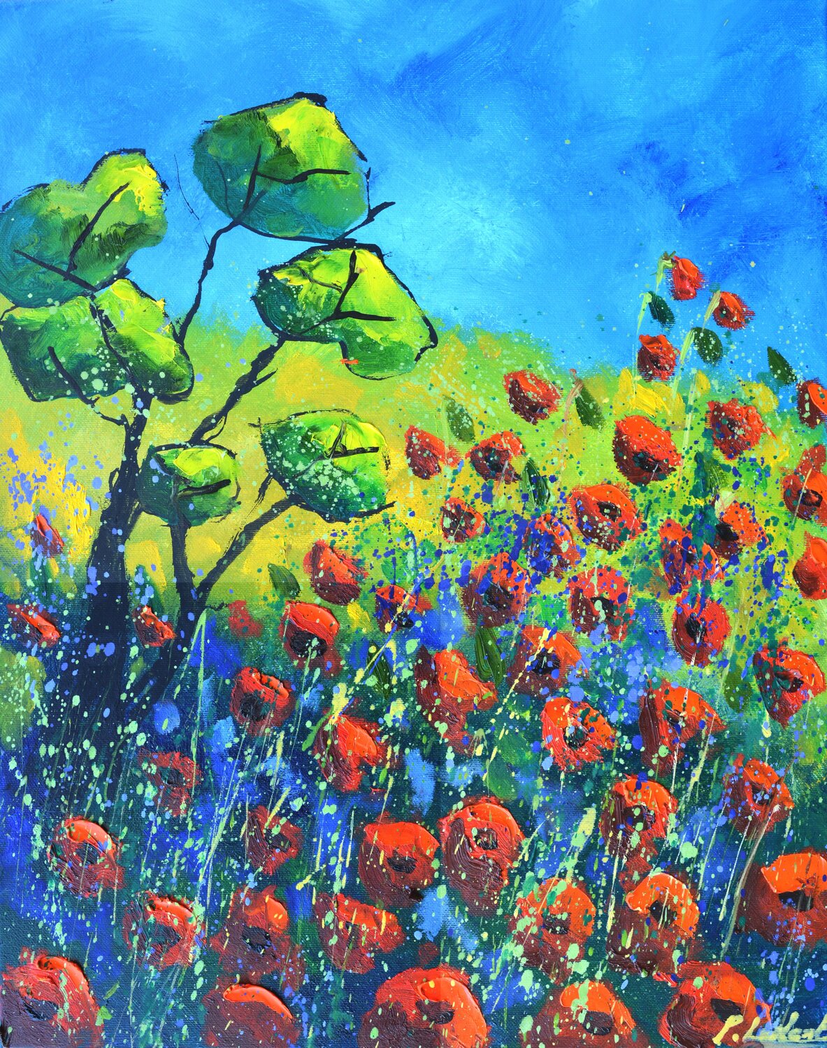 Poppies  in Provence Pol Ledent