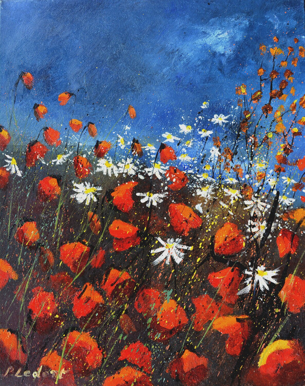 Red poppies 45 Pol Ledent