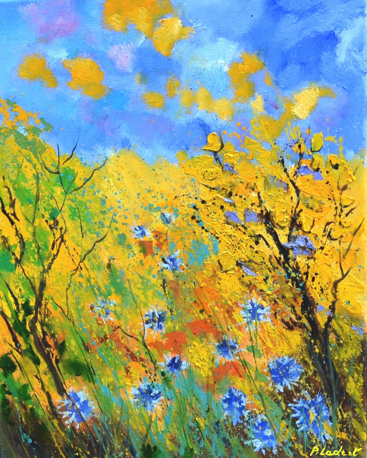 Bleuets 458111 Pol Ledent