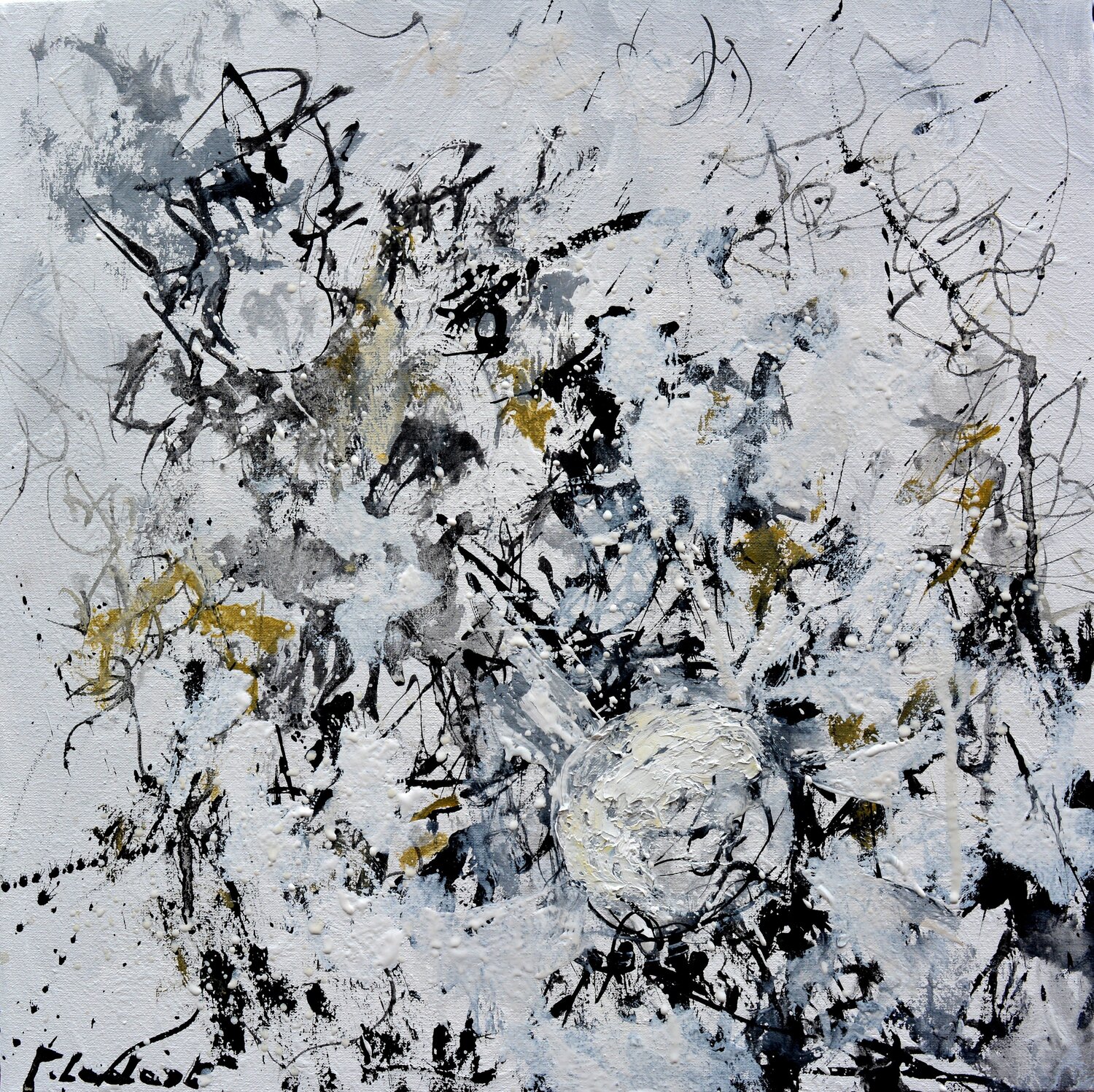 Blackand white dance Pol Ledent