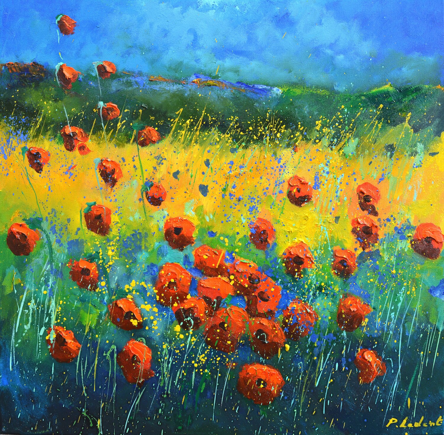 Redpoppies 662511 Pol Ledent