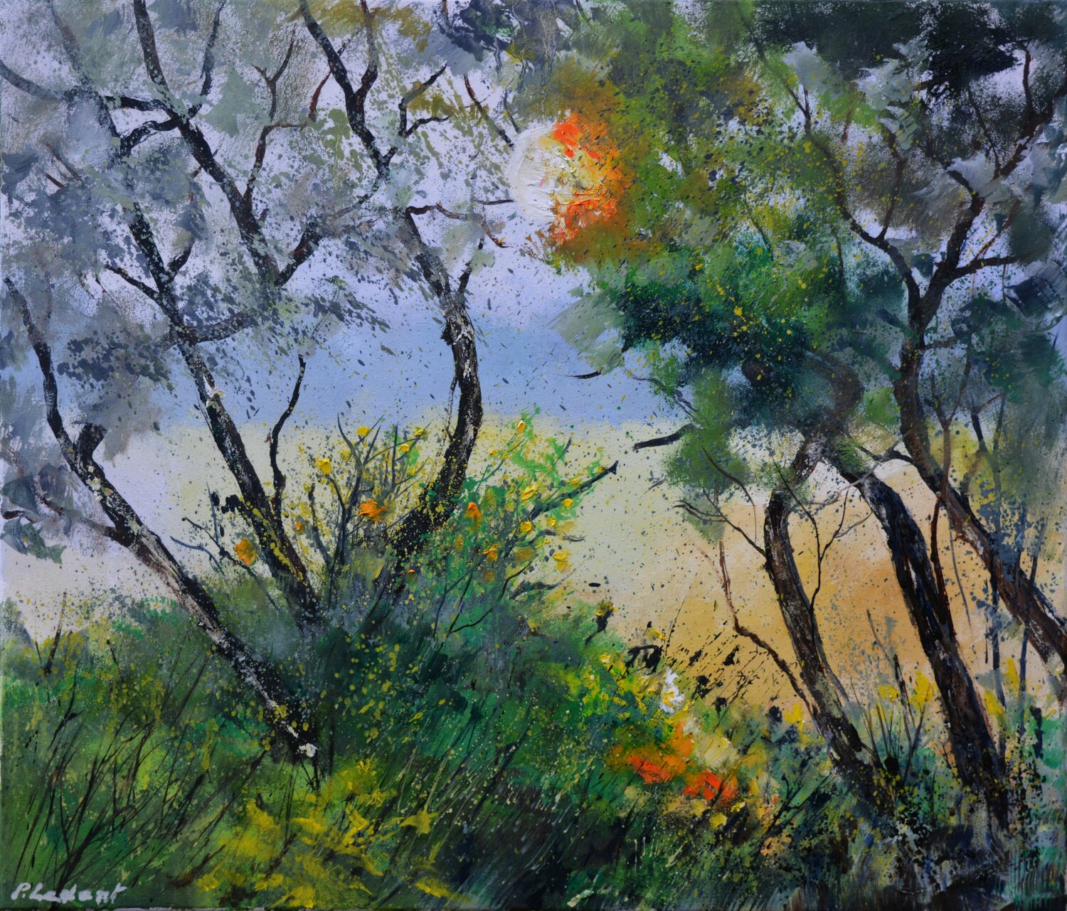 Lever de soleil printanier Pol Ledent