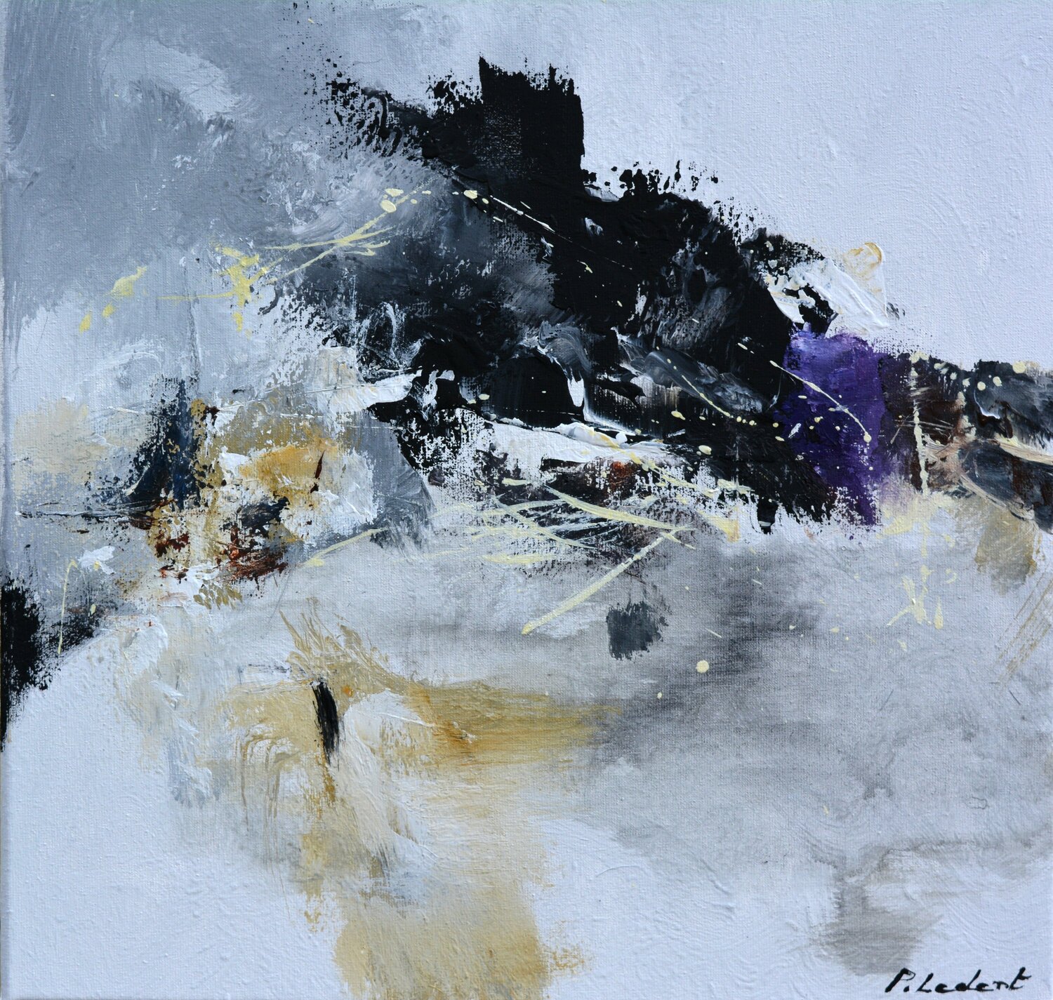 Blizzard Pol Ledent