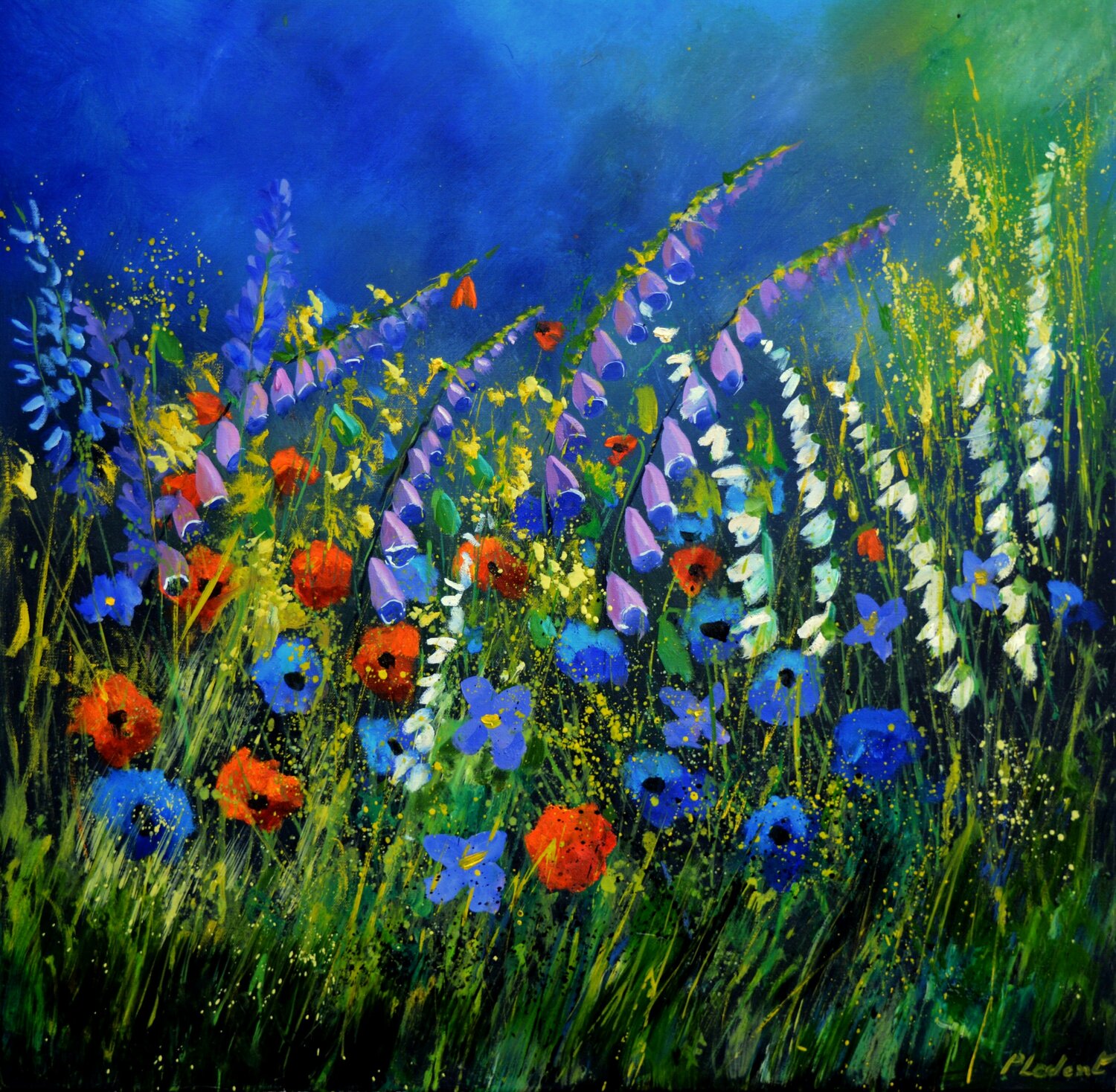 Fleurs sauvages Pol Ledent