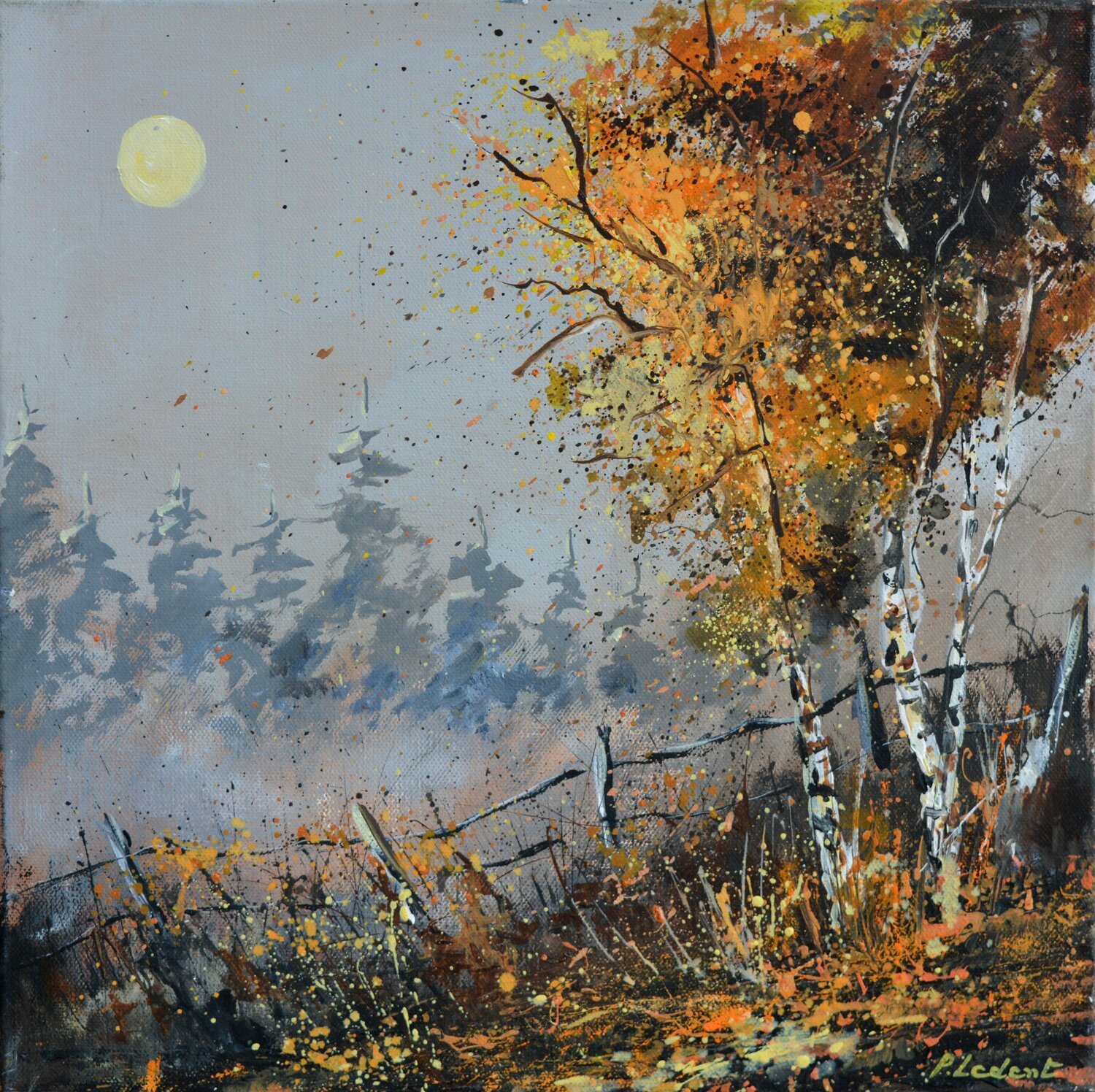 Moonshine 44 Pol Ledent