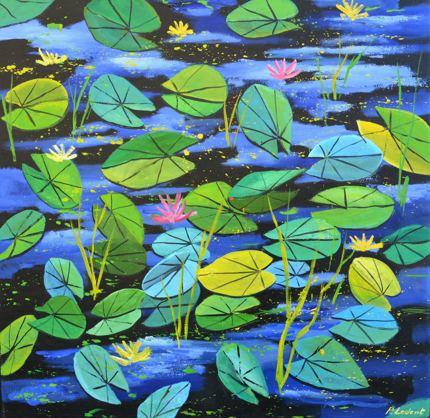 Nymphéas Pol Ledent