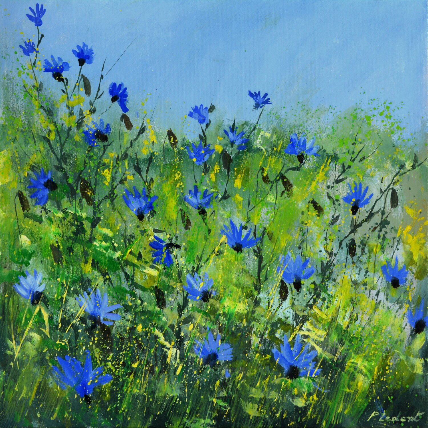 Wild flowers summer 2019 Pol Ledent