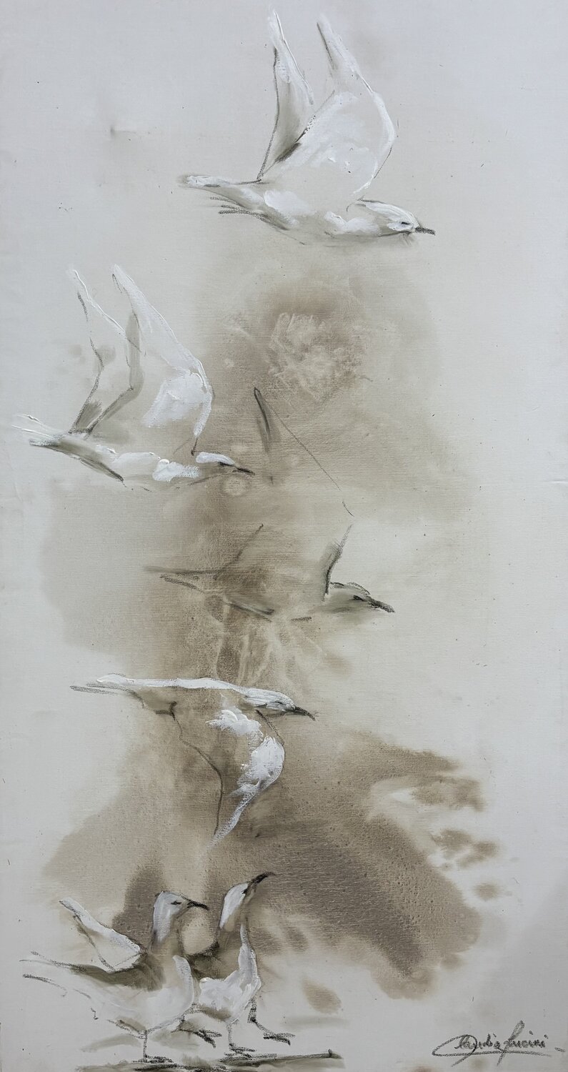 VOLAR... Claudia Lucini